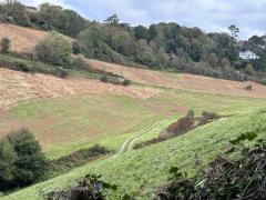 Rolling hills!